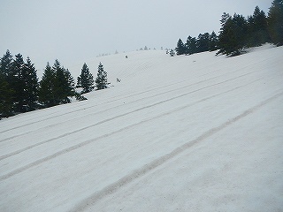 DSCN8003.jpg