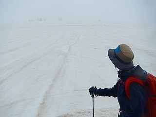 DSCN8006.jpg