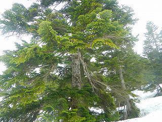 DSCN8008.jpg