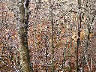 s-DSC01032.jpg