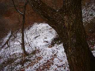 s-DSC01091.jpg