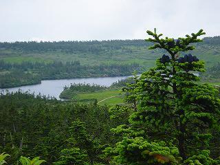s-DSC06075.jpg