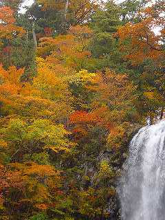 s-DSC06678.jpg