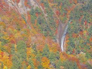 s-DSC06698.jpg