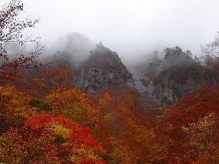 s-DSC06713.jpg