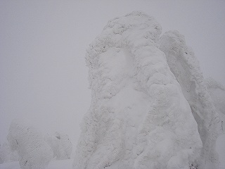 s-DSC07935.jpg