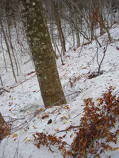 s-DSC08741.jpg