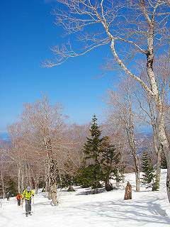 s-DSC08746.jpg