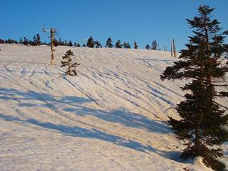 s-DSC08762.jpg