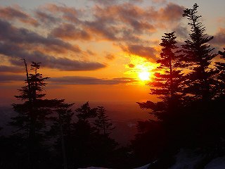 s-DSC08764.jpg