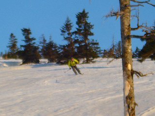 s-DSC08772.jpg