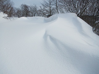 s-DSCN0542.jpg