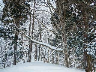 s-DSCN0548.jpg